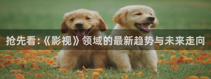 橘子视频ap：抢先看:《影视》领域的最新趋势与未来走向