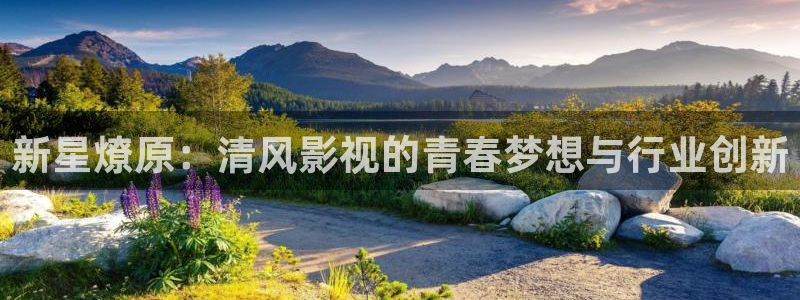 橘子影视tv版下载