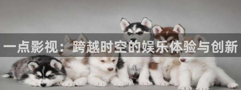 橘子的照片
