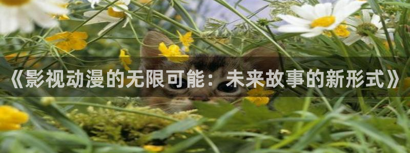 橘子橘子视频